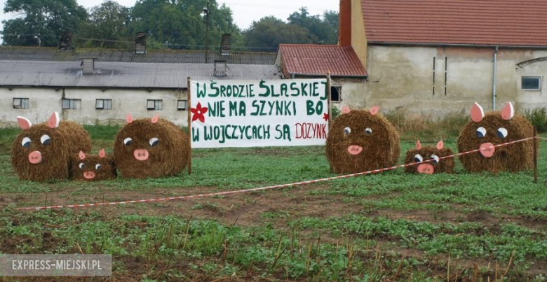 Gminne Dożynki w Wojczycach