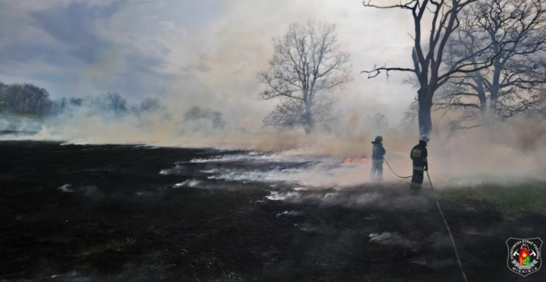 Pożar nieużytków w pobliżu Głoski