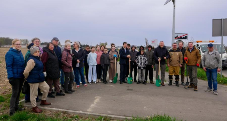 Nowe nasadzenia drzew