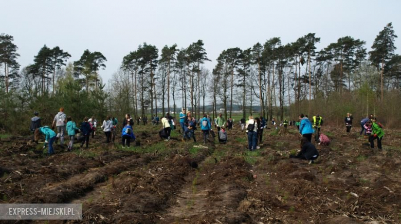 Święto Lasu w Mrozowie