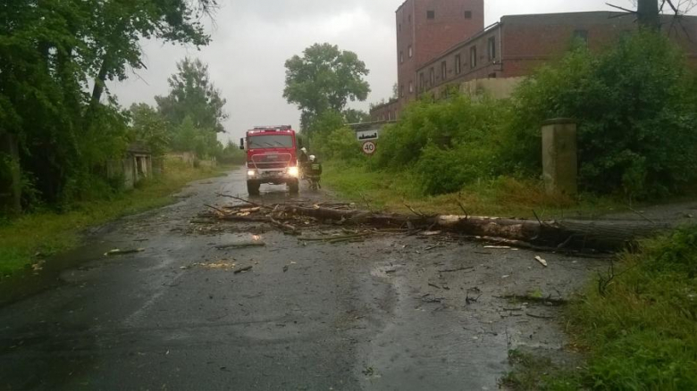 Interwencje strażaków