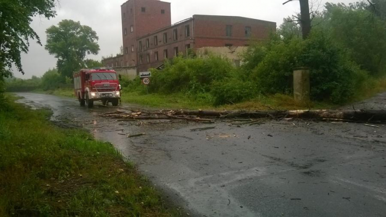 Interwencje strażaków