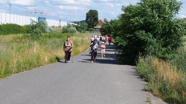 Zajęcia z nordic walking