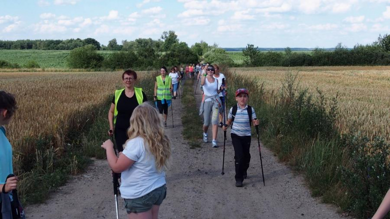 Zajęcia z nordic walking