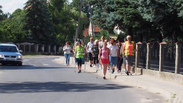 Zajęcia z nordic walking