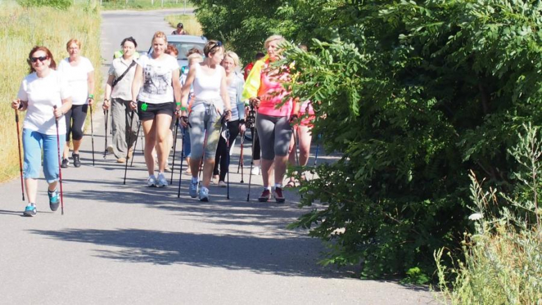 Zajęcia z nordic walking