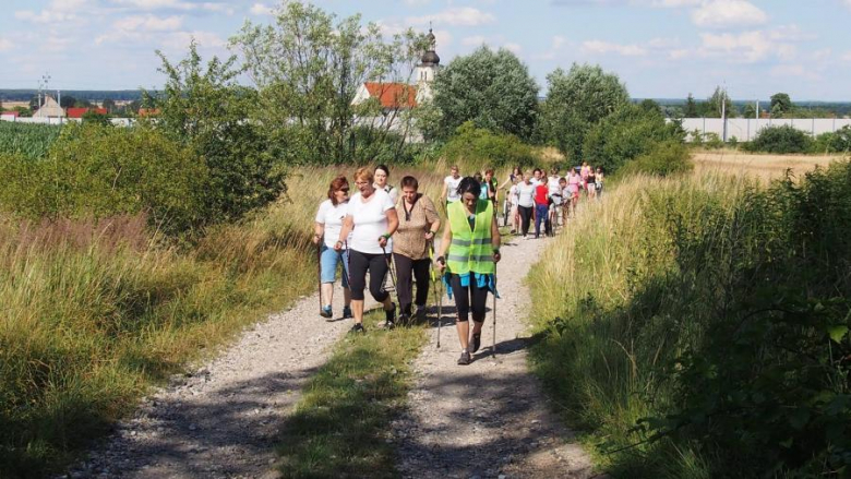 Zajęcia z nordic walking