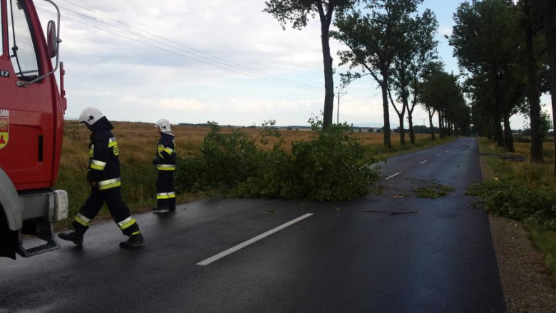 Działania strażaków w Udaninie