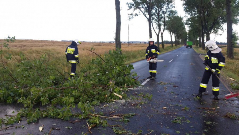 Działania strażaków w Udaninie