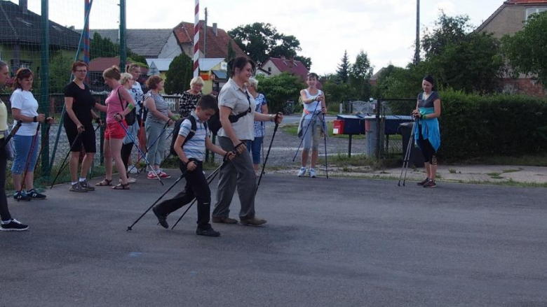 Zajęcia z nordic walking