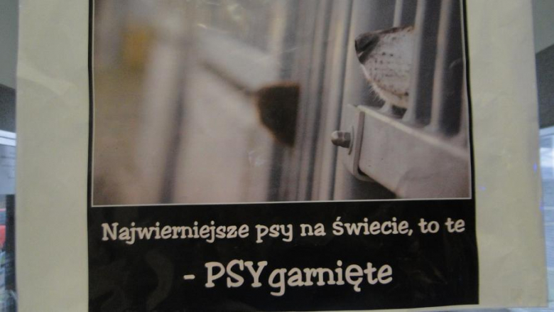 Akcja uczniów z PZSP nr 2 w Środzie Śląskiej