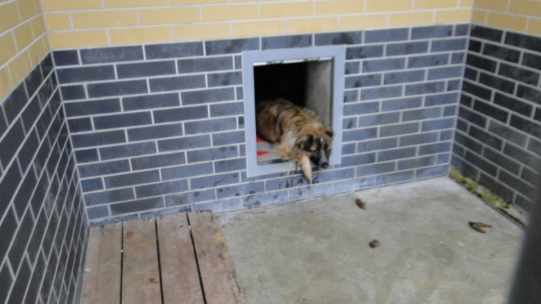 Akcja uczniów z PZSP nr 2 w Środzie Śląskiej