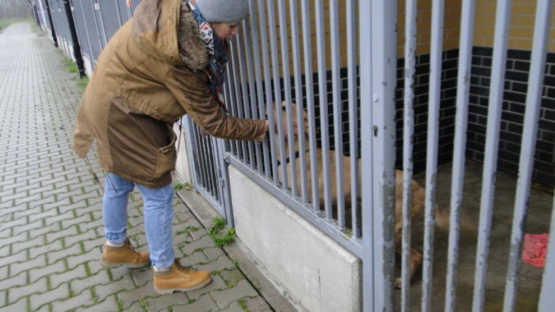 Akcja uczniów z PZSP nr 2 w Środzie Śląskiej