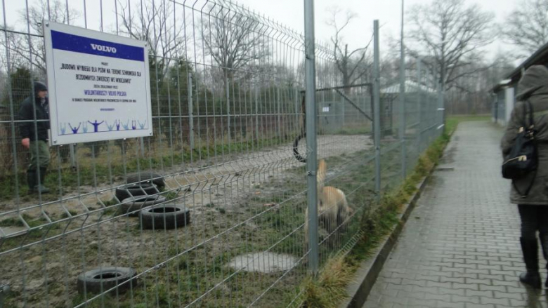 Akcja uczniów z PZSP nr 2 w Środzie Śląskiej