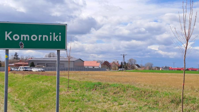 50 nowych drzew posadzonych