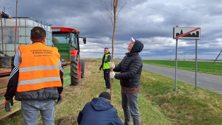 50 nowych drzew posadzonych