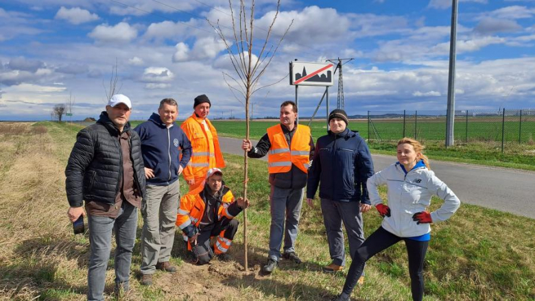 50 nowych drzew posadzonych