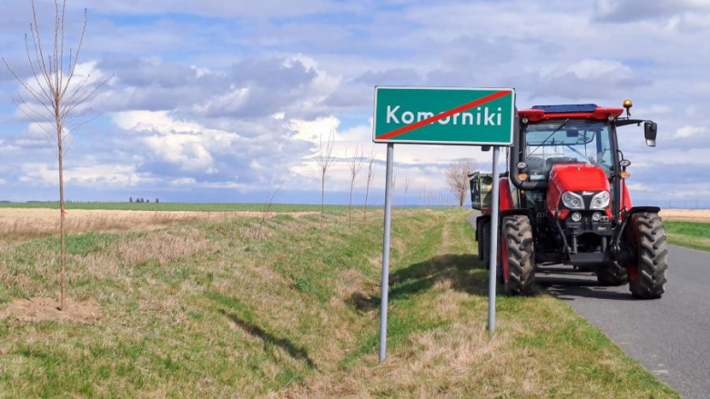 50 nowych drzew posadzonych