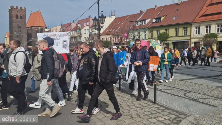 Parada Zdrowia w Środzie Śląskiej