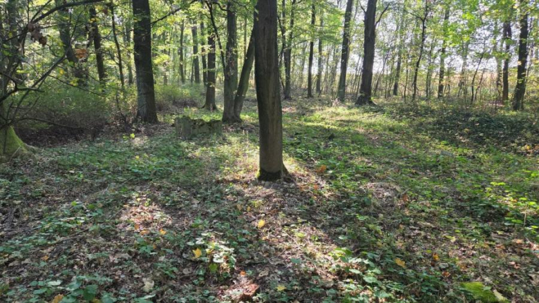 Czy wiecie, ile niezwykłych historii kryje się tuż za rogiem?