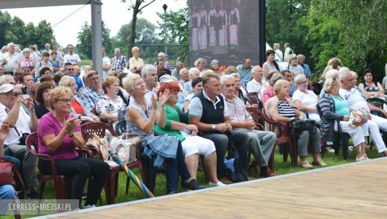 Festiwal muzyczny w Środzie Śląskiej
