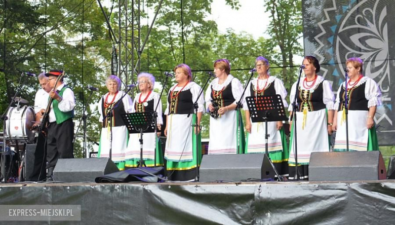 Festiwal muzyczny w Środzie Śląskiej