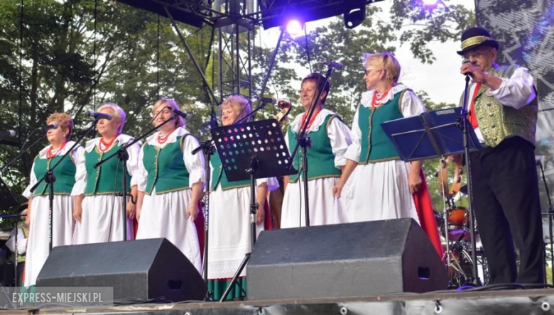 Festiwal muzyczny w Środzie Śląskiej