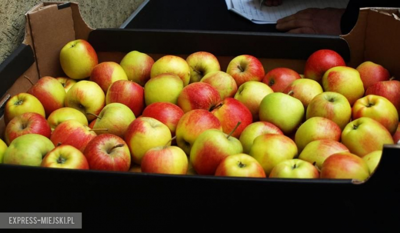 PCK rozdało jabłka w Środzie Śląskiej