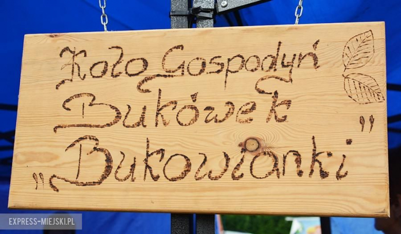 Festiwal muzyczny w Środzie Śląskiej