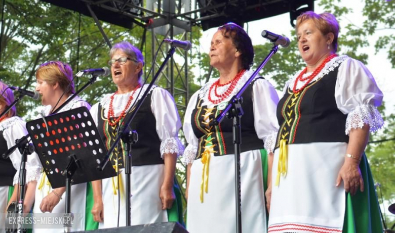 Festiwal muzyczny w Środzie Śląskiej