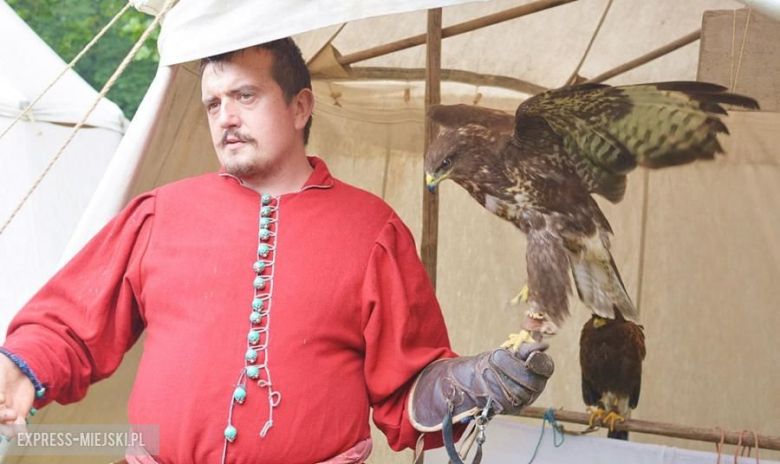 Turniej rycerski w Wojnowicach