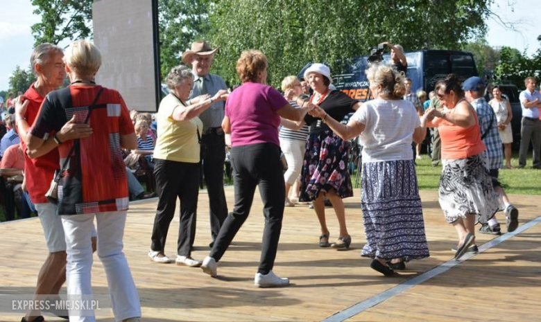 Festiwal muzyczny w Środzie Śląskiej
