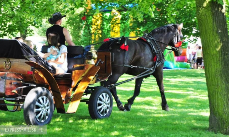 Gminny Dzień Dziecka w Środzie Śląskiej