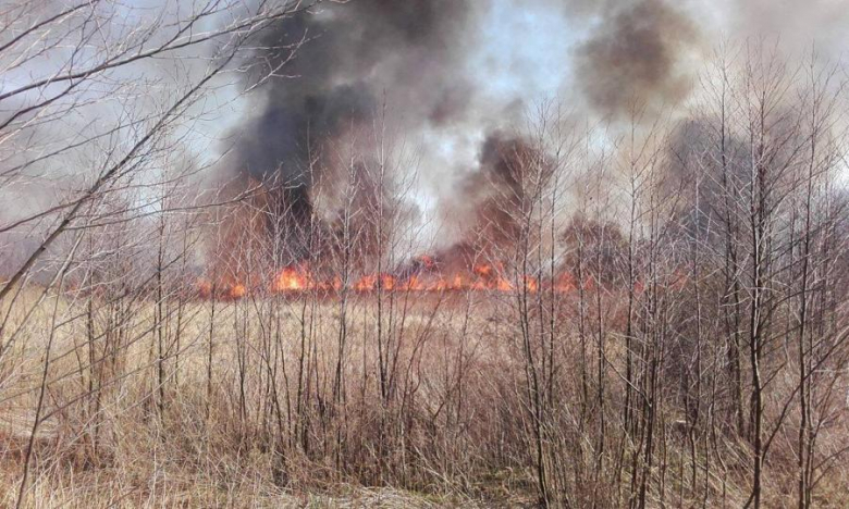 Pożar nieużytków