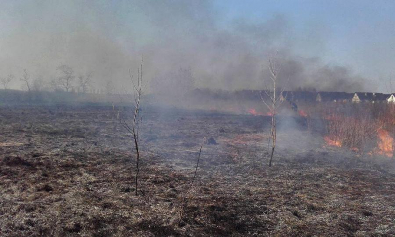 Pożar nieużytków