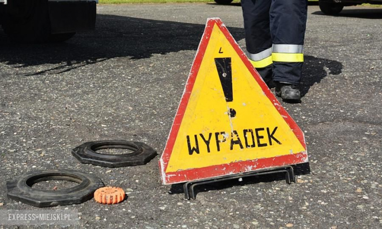 Piknik rodzinny w Udaninie