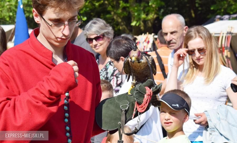 Turniej rycerski w Wojnowicach