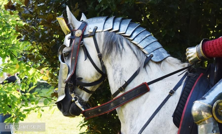 Turniej rycerski w Wojnowicach