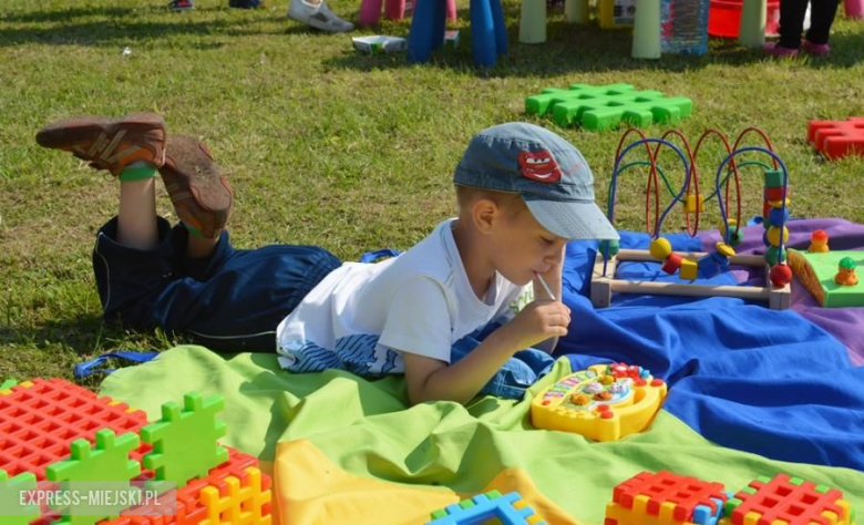 Piknik rodzinny w Udaninie