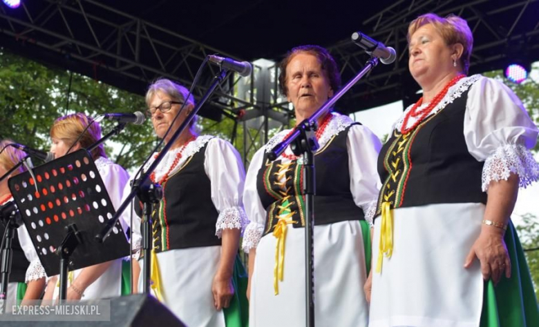 Festiwal muzyczny w Środzie Śląskiej