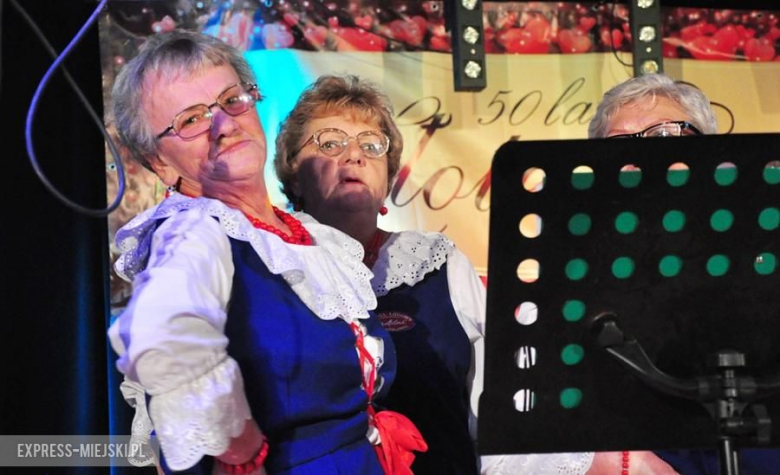 Uroczystości rocznicowe w miękińskim ośrodku kultury