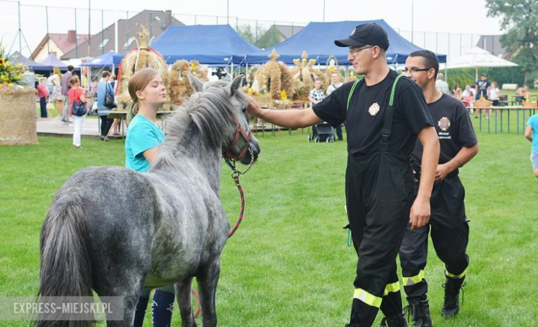 Gminne dożynki w Kostomłotach
