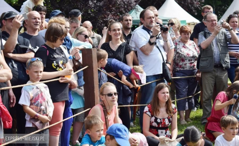 Turniej rycerski w Wojnowicach