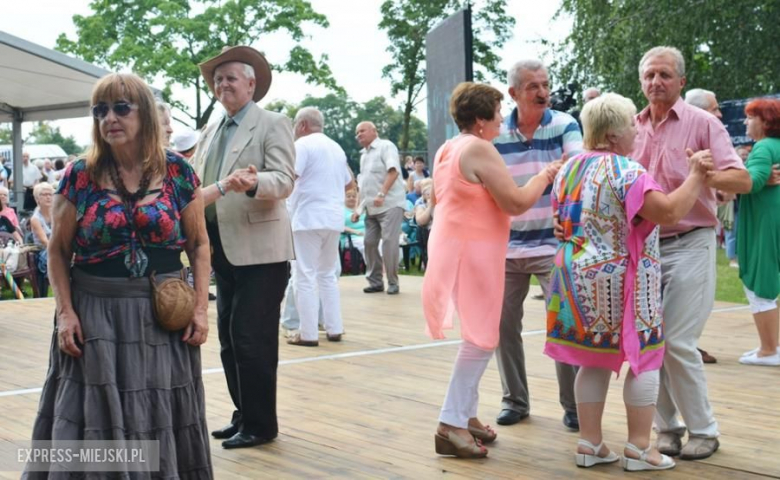 Festiwal muzyczny w Środzie Śląskiej