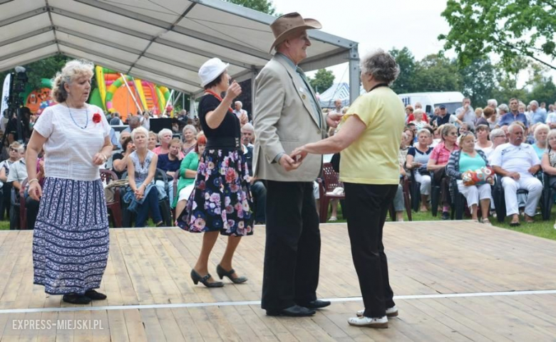Festiwal muzyczny w Środzie Śląskiej