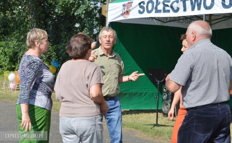 Piknik rodzinny w Udaninie