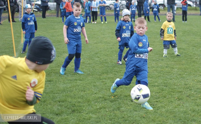 Gotec Cup 2017 w Rakoszycach