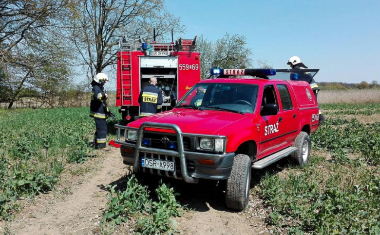 Pożar trawy w Lenartowicach