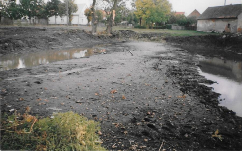 Prace przy renowacji stawu - archiwum