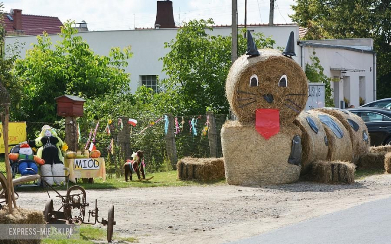 Gminne dożynki w Brodnie
